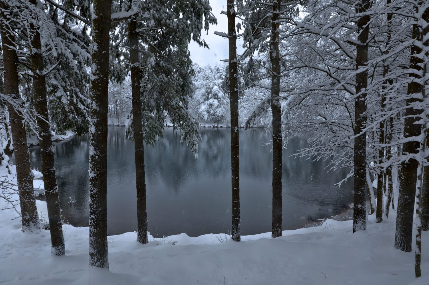 Le nevicate storiche della Val d’Aveto: ricordi e tradizioni