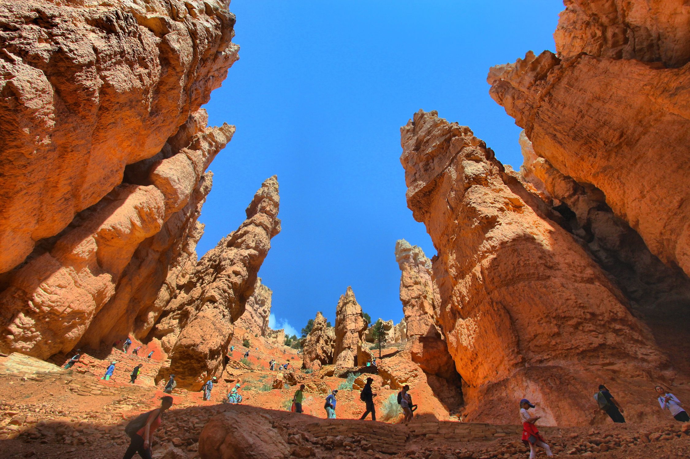 Bryce Canyon National Park: il regno degli hoodoo