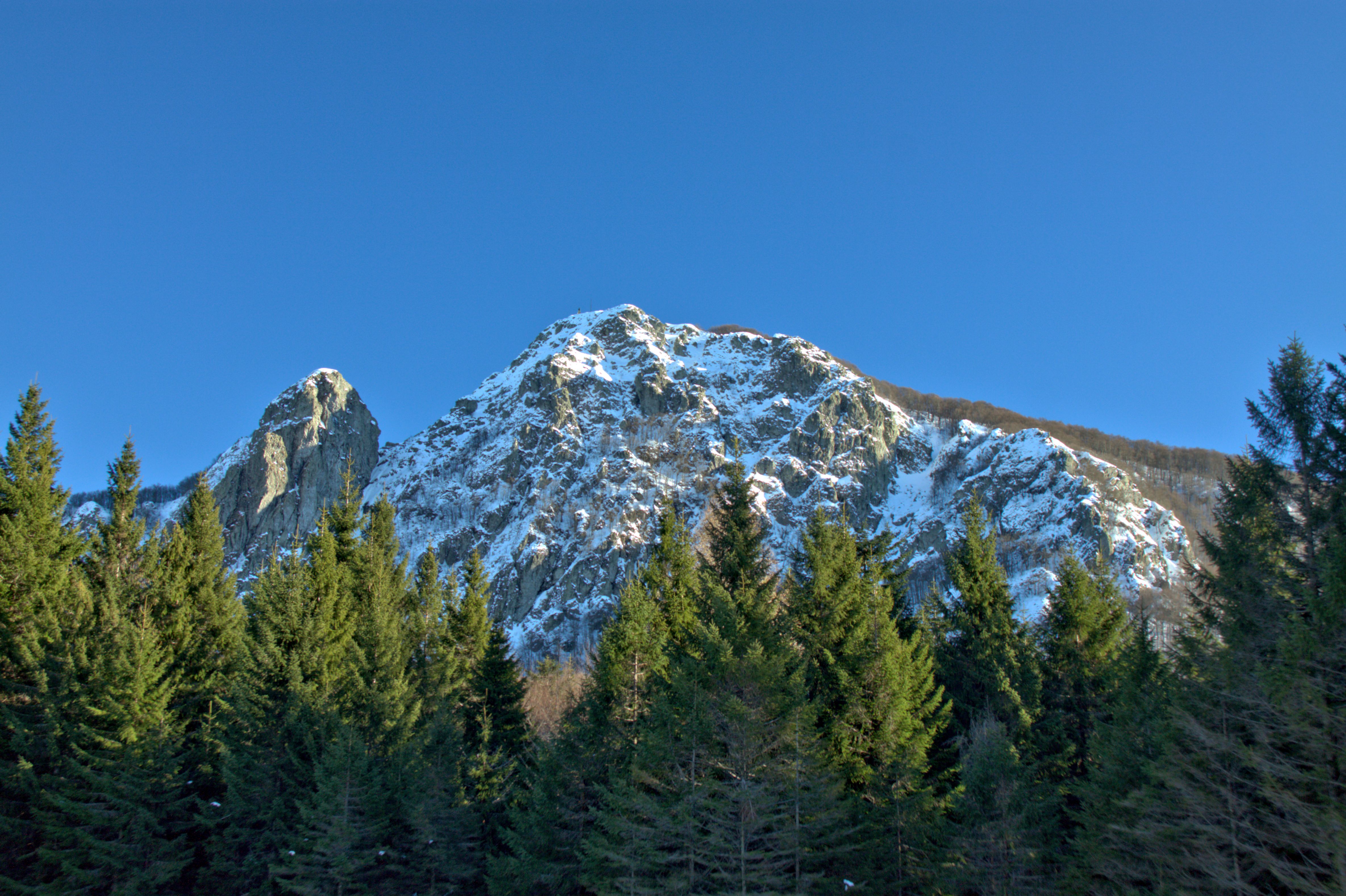 Foresta del Monte Penna: dalle casermette alla vetta